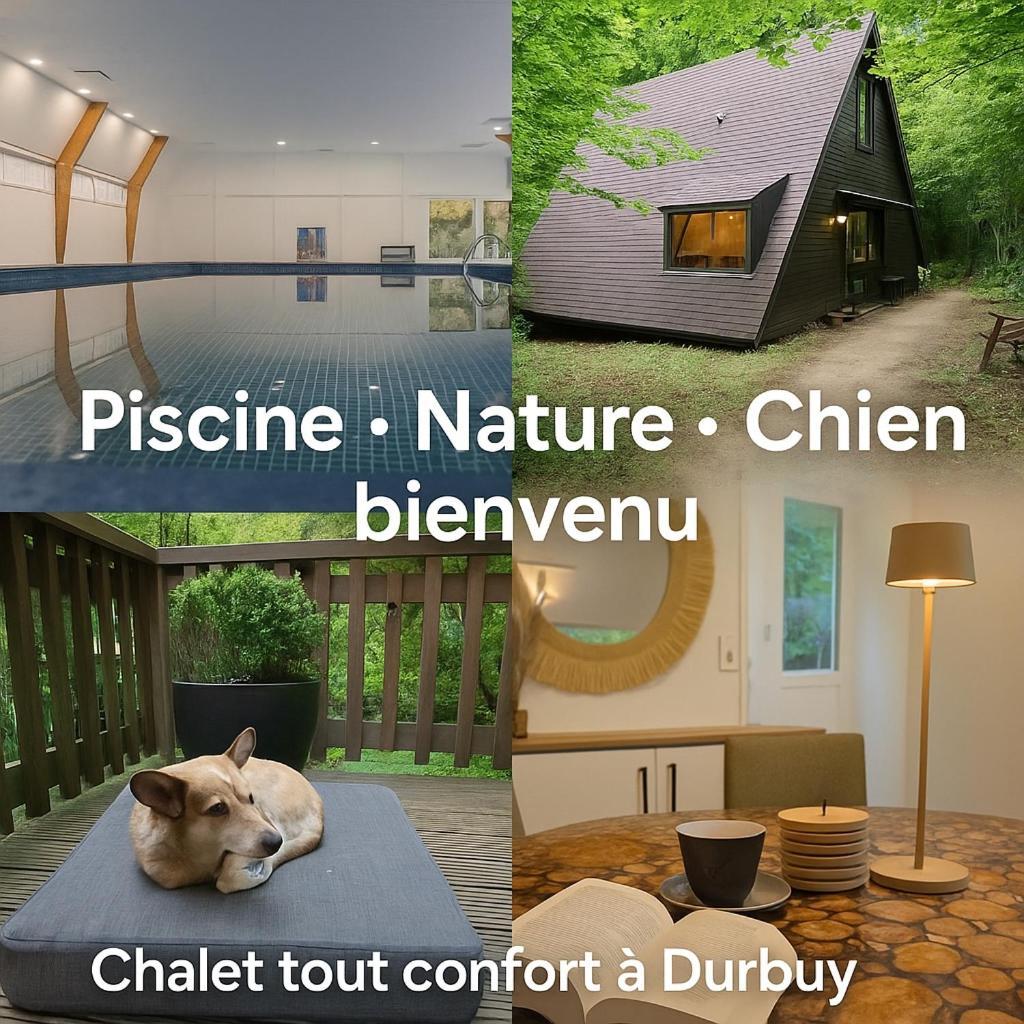 Sequoia 138 Nature, Piscine Et Chien Bienvenu A Durbuy